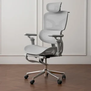 egornomic office chair